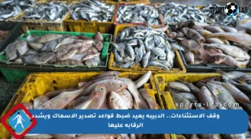 وقف الاستثناءات.. الدبيبة يعيد ضبط قواعد تصدير الأسماك ويشدد الرقابة عليها